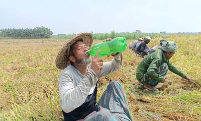 সর্বোচ্চ তাপমাত্রা রাজশাহী ও চুয়াডাঙ্গায়