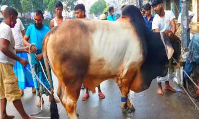 সামর্থ্য থাকা পরও কোরবানি না করলে কী গুনাহ হবে?