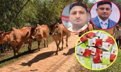 কক্সবাজারে বেড়েছে চোরাকারবার