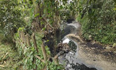 মরাছড়া ভরাট হওয়ায় ব্যাহত হচ্ছে চাষাবাদ