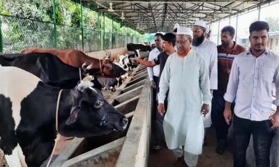 দাকোপে খামারিদের অভিজ্ঞতা বিনিময় সফর