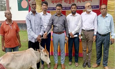 দাকোপে জেলেদের মাঝে বকনা বাছুর বিতরণ