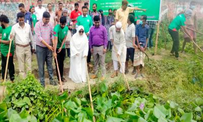 জয়পুরহাট পৌরসভার তিন কিলোমিটার খাল পরিষ্কার অভিযানের উদ্বোধন