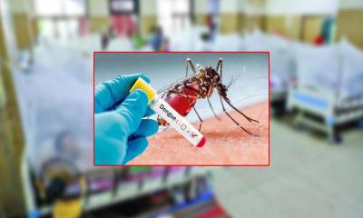ডেঙ্গুতে আরো একজনের মৃত্যু,  আক্রান্ত ২৬২