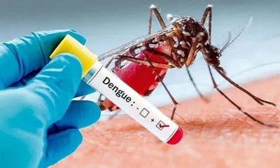 ডেঙ্গুতে একজনের মৃত্যু, আক্রান্ত ২৪৯