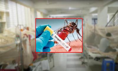 ডেঙ্গুতে আরও ২ জনের মৃত্যু, হাসপাতালে ৩২৬