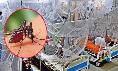 ডেঙ্গুতে আরও একজনের মৃত্যু, হাসপাতালে ৩৮৩