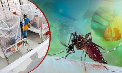 ডেঙ্গুতে আরও একজনের মৃত্যু, হাসপাতালে ১৬৯