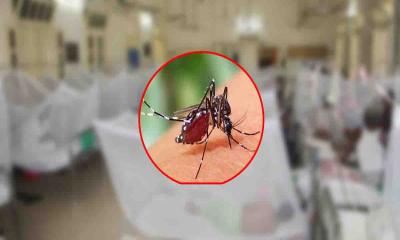 ২৪ ঘন্টায় ডেঙ্গুতে আক্রান্ত ৬০ জন
