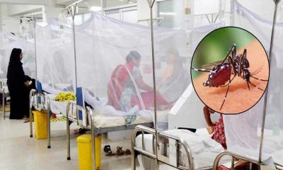 ডেঙ্গুতে একদিনে ৫ জনের মৃত্যু, হাসপাতালে ১৫৯