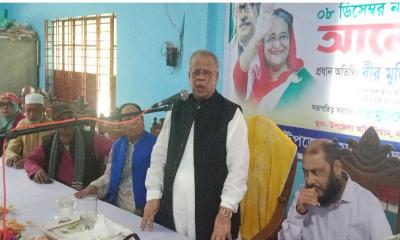 আমির হোসেন আমুকে ইসিতে তলব