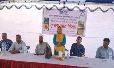 নবাবগঞ্জে নিরাপদ সবজি চাষ ও বিপণন বিষয়ক সভা
