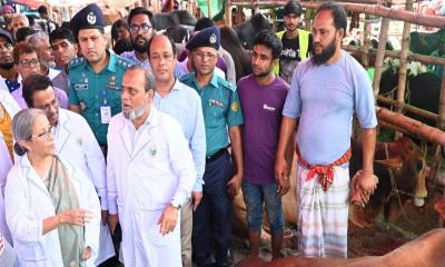 কোরবানির জন্য দেশে পর্যাপ্ত পশু মজুদ রয়েছে