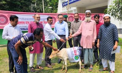 গোসাইরহাটে জেলেদের মাঝে বকনা বাছুর বিতরণ