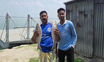 পদ্মার দুটি ইলিশ বিক্রি হলো ১০ হাজার ৪০০ টাকায়