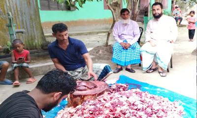 আড়াইহাজারে সুবিধাবঞ্চিত ১৫৩ পরিবারে গোস্ত বিতরণ