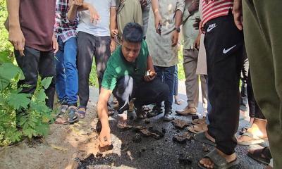 সড়কে নিম্নমানের কার্পেটিং, কাজ বন্ধ করে দিলেন হাসনাত আব্দুল্লাহ
