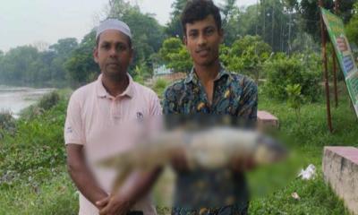 হালদা নদীতে ১২ দিনের ব্যবধানে দুটি মৃত মা মাছ উদ্ধার
