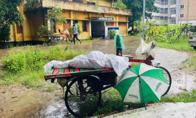 জাজিরায় বালুর স্তূপ থেকে অর্ধগলিত লাশ উদ্ধার