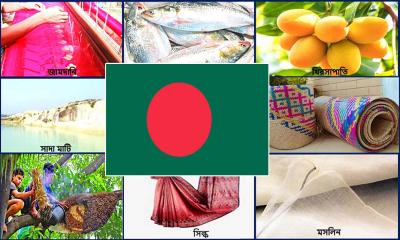জিআই স্বীকৃতি পেতে ৪৯৪ পণ্যের তালিকা তৈরি করেছে সরকার