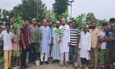 সান্তাহারে জোবাইদা রহমানের জন্মদিন উপলক্ষে বৃক্ষরোপণ