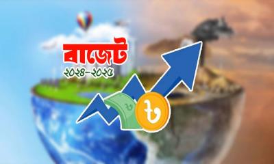 জলবায়ু পরিবর্তন মোকাবিলায় বাজেটে বরাদ্দ ১০০ কোটি