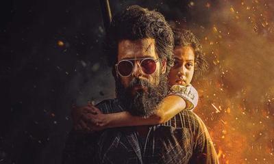 পাকিস্তানে উর্দু ভাষায় মুক্তি পাচ্ছে ‘জংলি’ সিনেমা