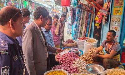 সিরাজদীখানে পেঁয়াজের ২ প্রতিষ্ঠানকে জরিমানা