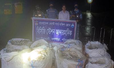 কলাপাড়ায় কোস্টগার্ডের অভিযানে ২০ মন জাটকা জব্দ