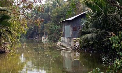 কলাপাড়ায় সরকারি খাল দখলের অভিযোগ