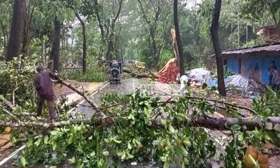 দেশের বিভিন্ন স্থানে কালবৈশাখীর হানা,  ১২ জনের প্রাণহানি