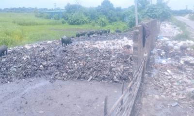 মহাসড়কের পাশেই ময়লার ভাগাড়, দুর্গন্ধে অতিষ্ঠ কাশিয়ানীবাসী
