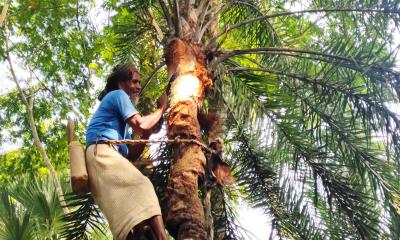 গাছির মুখে রসালো হাসি