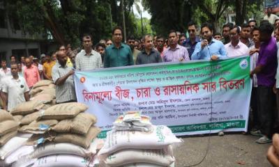 মাগুরার শালিখায় বিনামূল্যে বীজ ও সার বিতরণ