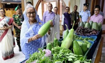 কৃষক লীগ নেতাদের শাক-সবজি উপহার দিলেন প্রধানমন্ত্রী