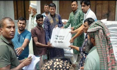 পানের বরজে অগ্নিকাণ্ড: ক্ষতিগ্রস্তদের মাঝে বিএনপির চাল বিতরণ