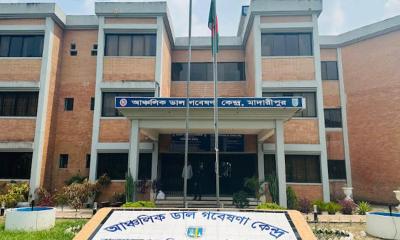 মাদারীপুরে পণ্ড হতে বসেছে ডাল গবেষণার ১৬৮ কোটি টাকার প্রকল্প