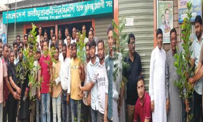 নাগরপুরে ছাত্রদলের উদ্যোগে বৃক্ষরোপণ কর্মসূচি উদ্বোধন