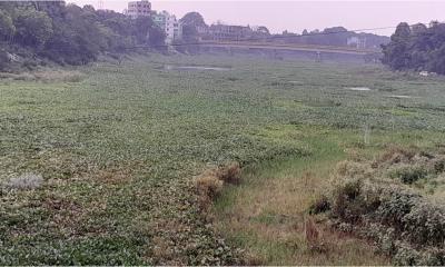 নবগঙ্গা নদীর হাহাকার: অস্তিত্ব সংকটে মাগুরার প্রাণপ্রবাহ