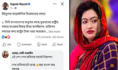 সরকারবিরোধী মন্তব্য: বিতর্কের মুখে সাবেক ভাইস চেয়ারম্যান বেবী নাজনীন