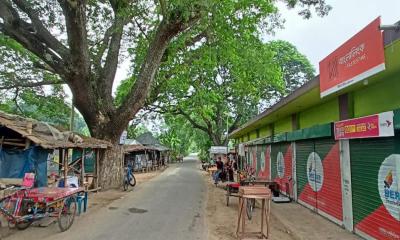 মহম্মদপুরে এক মালদ্বীপ বাজার