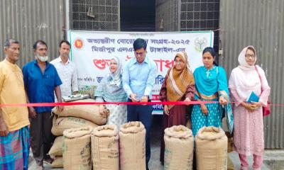 মির্জাপুরে সরকারিভাবে ধান সংগ্রহ কার্যক্রমের উদ্বোধন