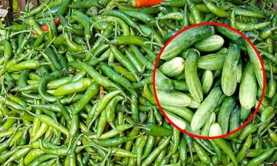 ৩০০ ছাড়ালো কাঁচা মরিচ, শসা সেঞ্চুরি