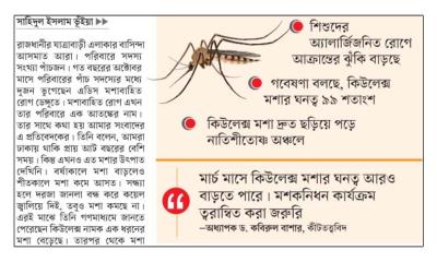 কিউলেক্স মশা আতঙ্ক