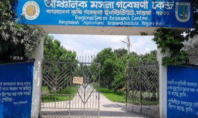মাগুরা মসলা গবেষণা কেন্দ্রে কোটি টাকা লোপাটের অভিযোগ