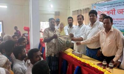 মঠবাড়িয়ায় কৃষকের মাঝে বীজ ও সার বিতরণ