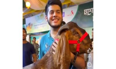 এনবিআর কর্মকর্তার ছেলের অর্ধকোটি টাকার পশু কোরবানি