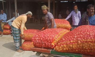 শরীয়তপুরে পেঁয়াজের ফলন কম, পাইকারি বাজারে অস্থিরতা