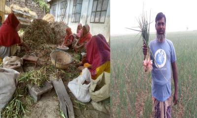 ফলন-দামে স্বস্তি, ভারতীয় পেঁয়াজ আমদানি বন্ধের দাবি