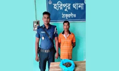 হরিপুরে গাঁজা সহ মাদক কারবারি আটক